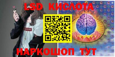 PSILOCYBIN Гусев