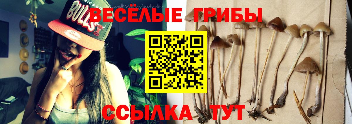 Псилоцибиновые грибы ЛСД Муравленко