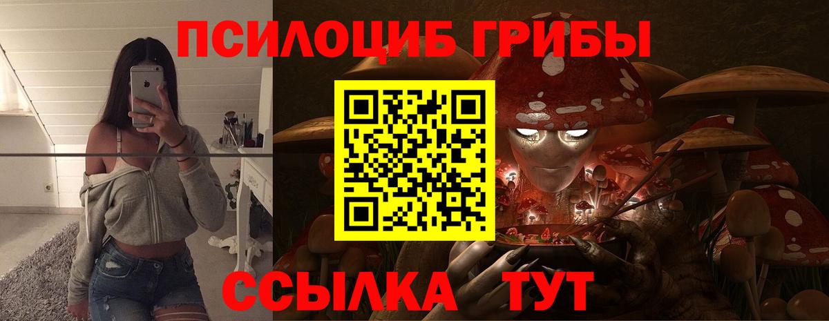 Муравленко  Псилоцибиновые грибы Psilocybine cubensis  Вход с VPN 